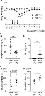 Involvement of Parvalbumin-Positive Neurons in the Development of Hyperalgesia in a Mouse Model of Fibromyalgia